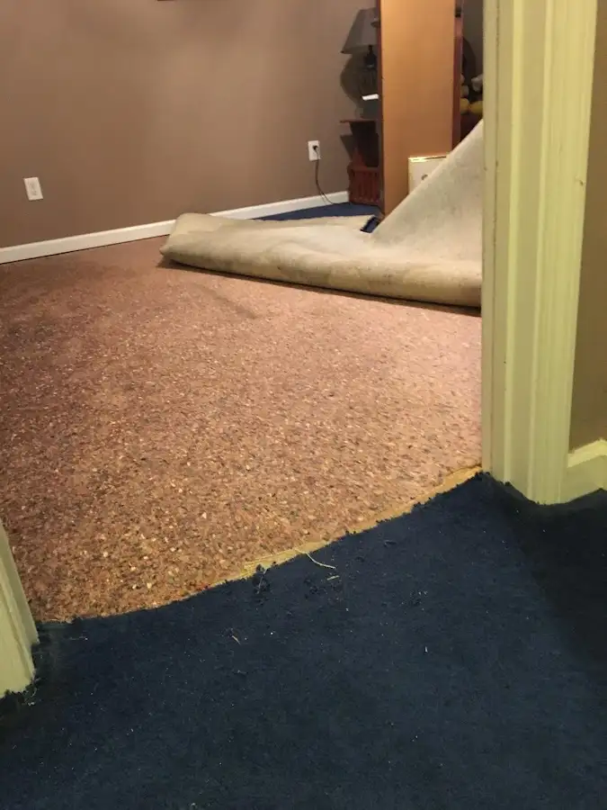 Carpet pad removal revealing water damage during Drying & Dehumidification in Pantops