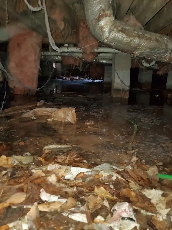 Crawl space flood assessment for Leak Detection & Repair in Pantops