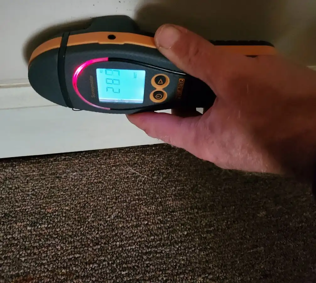 Moisture detection at baseboard during Mold Inspection & Testing in Pantops