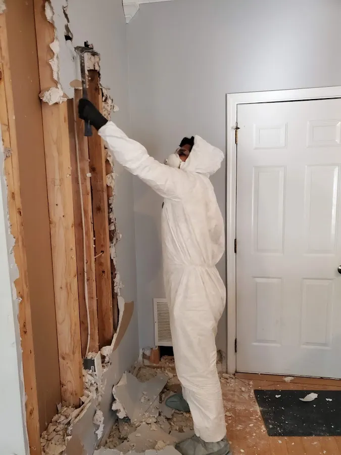 Emergency Water Damage Services in Pantops, VA